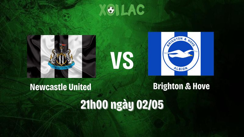 Nhận định bóng đá Newcastle United vs Brighton & Hove