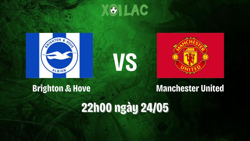 Nhận định bóng đá Brighton & Hove vs Manchester United