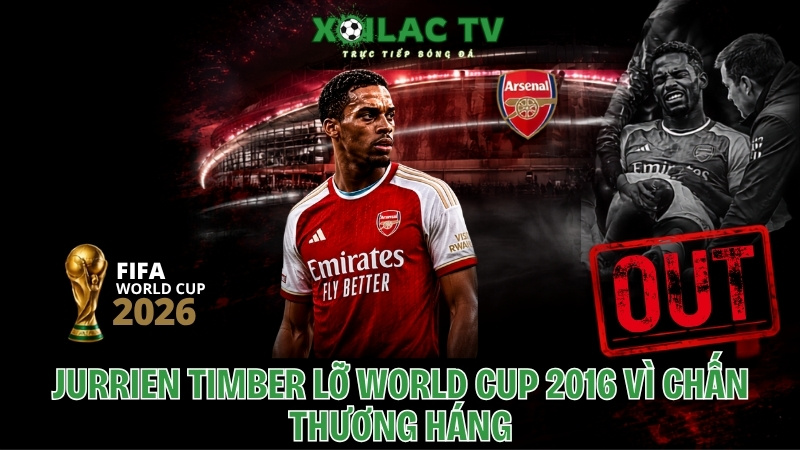 Jurrien Timber Lỡ World Cup 2026 Vì Chấn Thương Háng