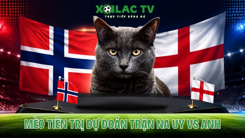 Mèo Tiên Tri Na Uy vs Anh